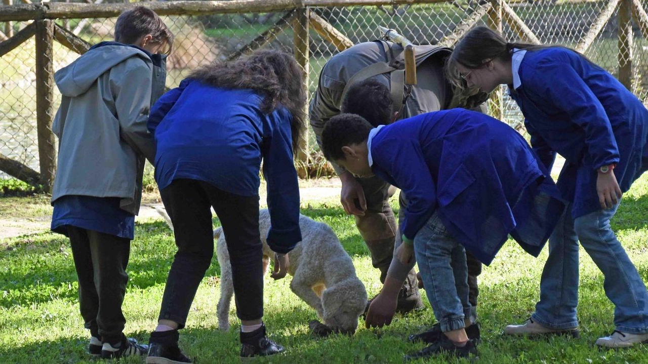 Studenti e cavatori alla ricerca del tartufo in azione al parco del Rignardello Studenti e cavatori alla ricerca del tartufo in azione al parco del Rignardello