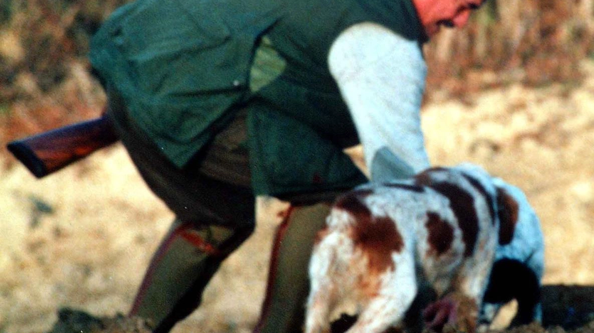 Le difficoltà dei cacciatori che restano esclusi dalla lotta alla peste suina africana Le difficoltà dei cacciatori che restano esclusi dalla lotta alla peste suina africana
