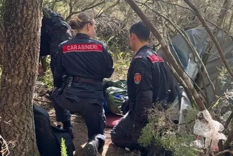 Maxi operazione anti droga. Blitz nei boschi, due arresti. Un carabiniere rimasto ferito