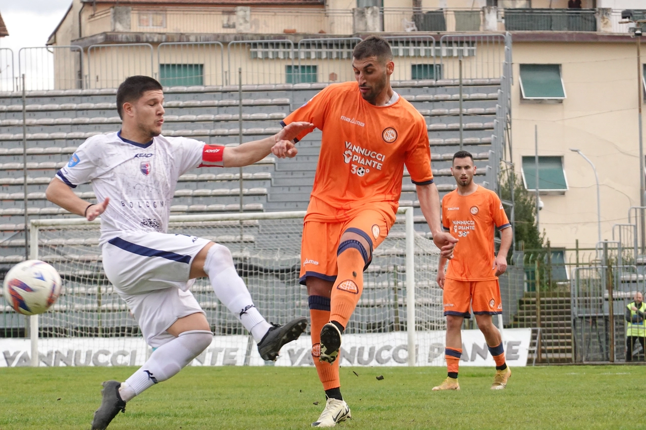 immagine di sfondo 6