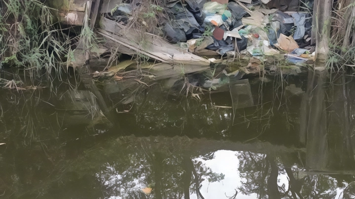 Trovati altri due scempi ambientali sulle rive del Massaciuccoli Trovati altri due scempi ambientali sulle rive del Massaciuccoli