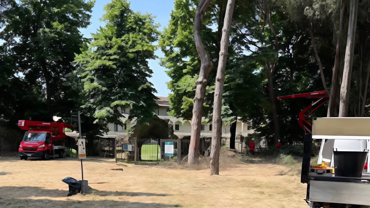 I giardini dell’Anfiteatro presto aperti dopo il ripristino e la ripulitura I giardini dell’Anfiteatro presto aperti dopo il ripristino e la ripulitura