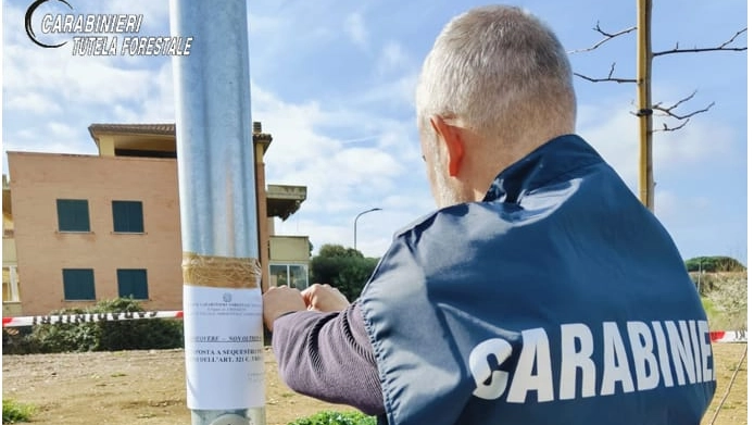 Rifiuti illegali a Grosseto Rifiuti illegali a Grosseto