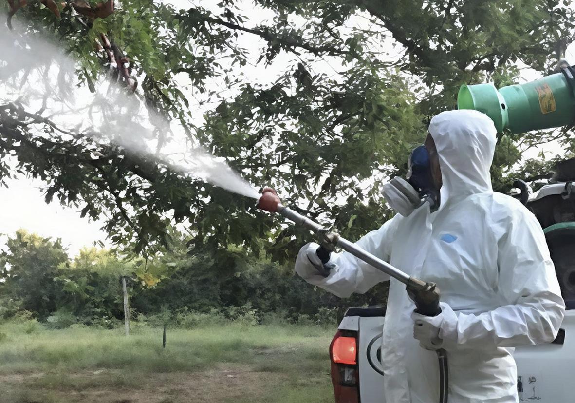 Dengue, un caso nel Senese. Scatta la disinfestazione, le zone interessate Dengue, un caso nel Senese. Scatta la disinfestazione, le zone interessate
