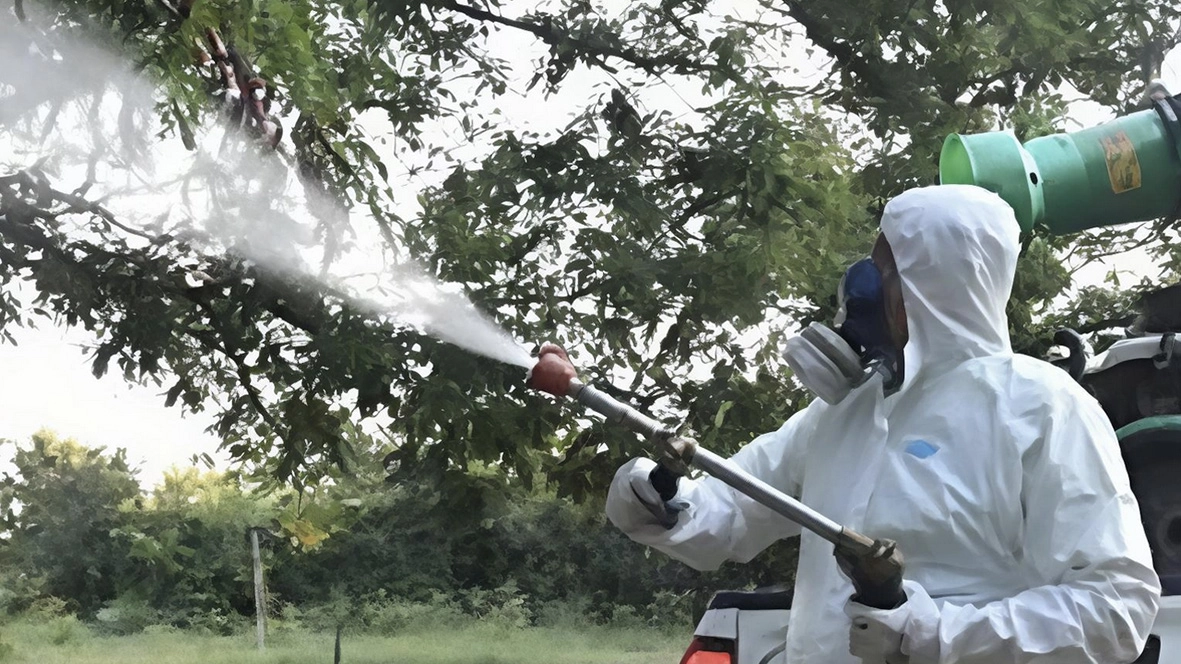 Caso di Dengue, scatta la disinfestazione. Due le date per le operazioni (Foto di repertorio) Caso di Dengue, scatta la disinfestazione. Due le date per le operazioni (Foto di repertorio)