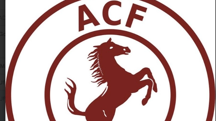 Acf Arezzo