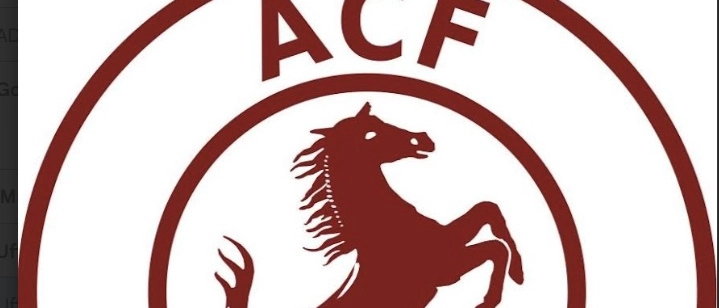 Acf Arezzo: definito l’organigramma societario
