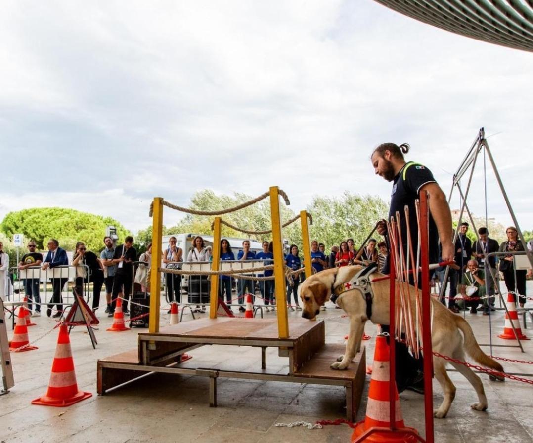Raccolta fondi ai centri Coop per addestrare cani guida
