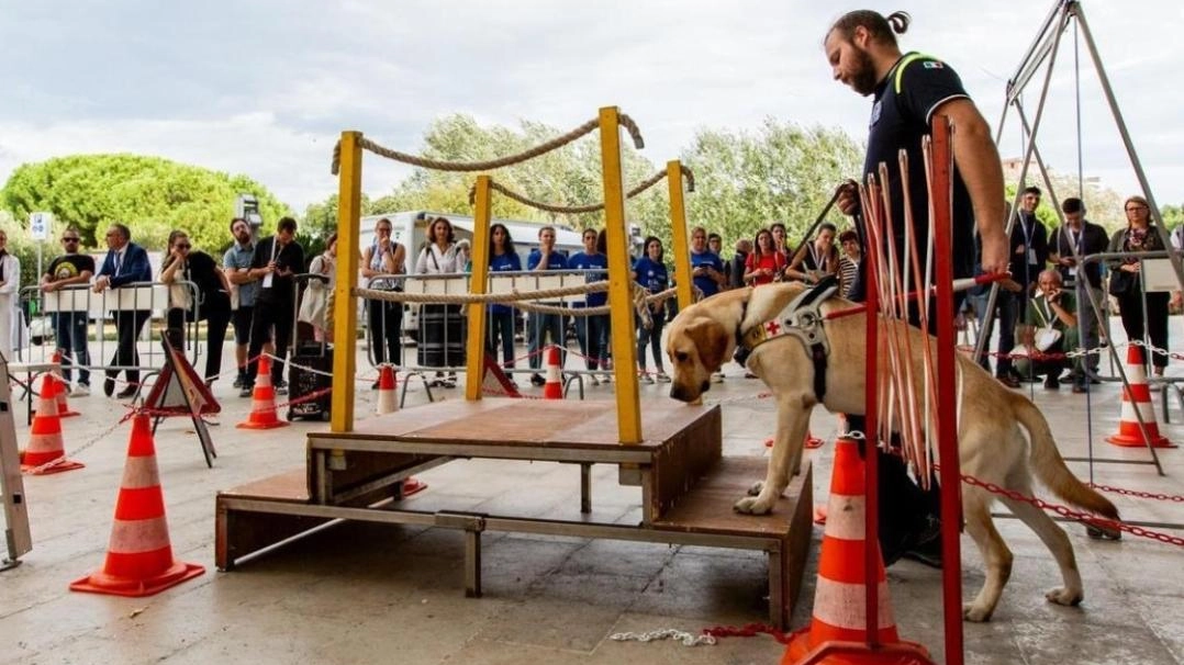 I fondi raccolti andranno al Centro Lions cani guida di Limbiate un centro di eccellenza a livello nazionale e internazionale I fondi raccolti andranno al Centro Lions cani guida di Limbiate un centro di eccellenza a livello nazionale e internazionale