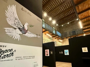immagine articolo