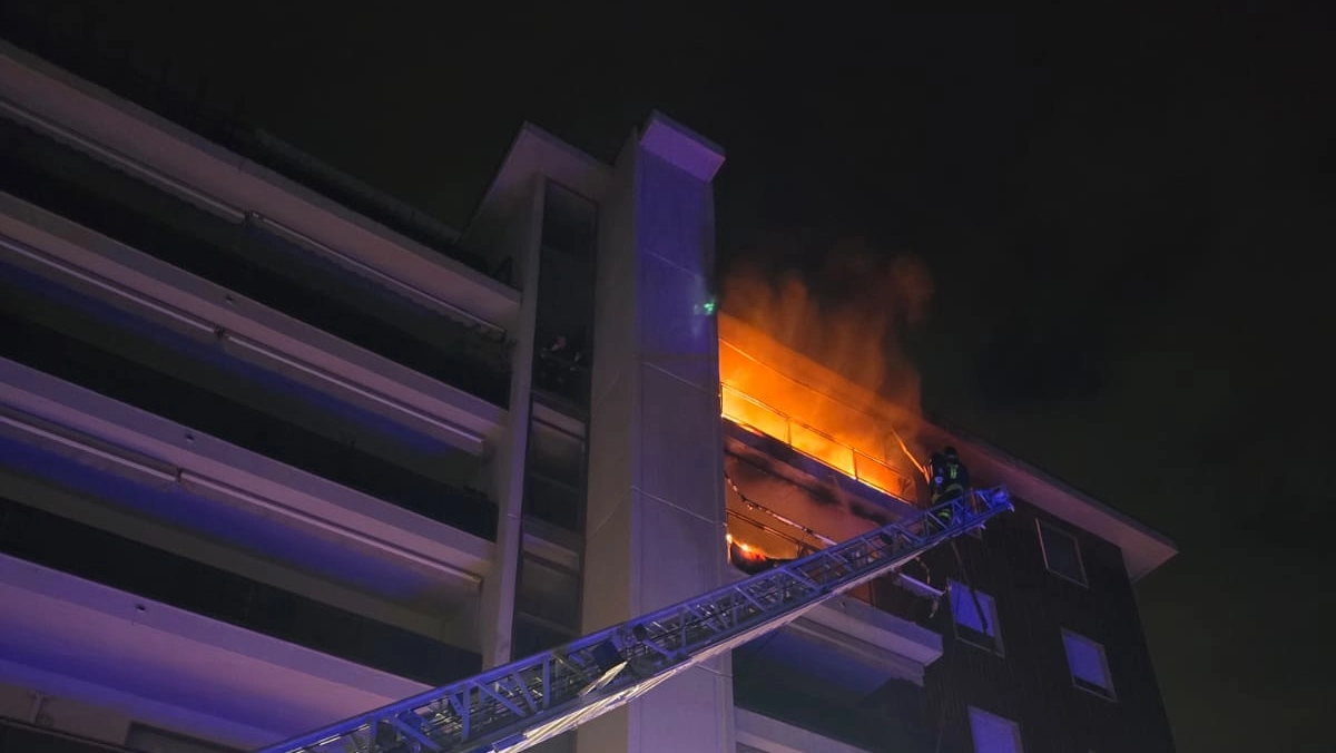 L'incendio a Marina di Carrara L'incendio a Marina di Carrara