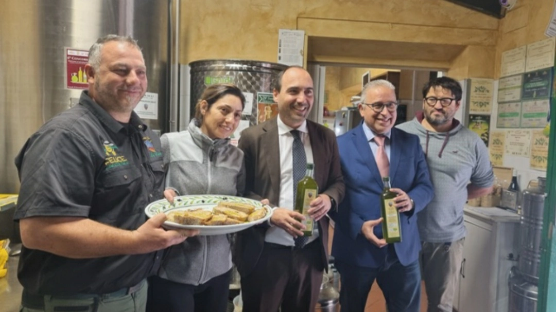 Olio, primo bilancio dell’annata Olio, primo bilancio dell’annata