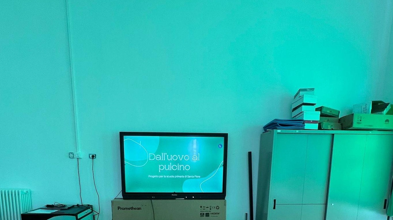 Dall’uovo al pulcino, quando la scienza e la natura diventano materia di un progetto molto speciale. Nicolò Sorrentino, residente a Santa... Dall’uovo al pulcino, quando la scienza e la natura diventano materia di un progetto molto speciale. Nicolò Sorrentino, residente a Santa...