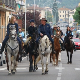 Domenica la quattordicesima edizione di “Cavallincittà”