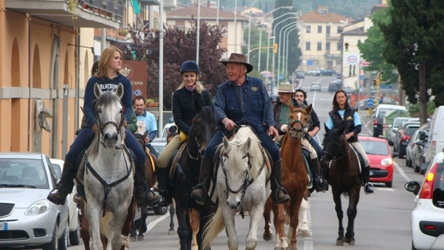 cavalli