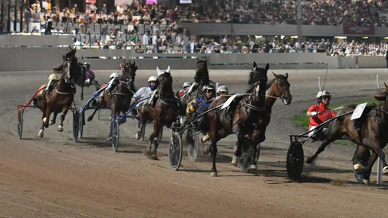 A pochi giorni dalla fatidica data di riapertura dell’ippodromo di Montecatini, è stato effettuato il primo sopralluogo la Commissione di... A pochi giorni dalla fatidica data di riapertura dell’ippodromo di Montecatini, è stato effettuato il primo sopralluogo la Commissione di...