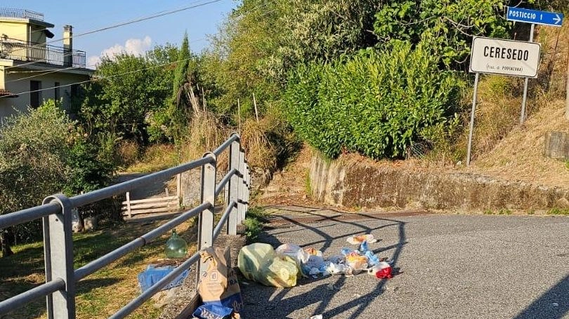 I rifiuti disseminati nelle strade di una delle frazioni di Podenzana I rifiuti disseminati nelle strade di una delle frazioni di Podenzana