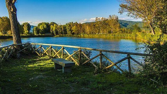 Lavori in corso per realizzare la rete di mobilità lenta tra ambiente e turismo. Nuovi sentieri lungo la costa del Trasimeno. Ci sarà spazio anche per i cavalli. Lavori in corso per realizzare la rete di mobilità lenta tra ambiente e turismo. Nuovi sentieri lungo la costa del Trasimeno. Ci sarà spazio anche per i cavalli.