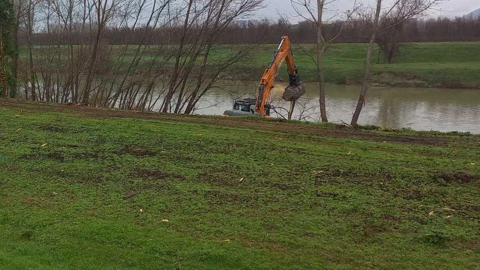 Le ruspe. impegnate nel «disboscamento». sull’argine di Riglione Le ruspe. impegnate nel «disboscamento». sull’argine di Riglione