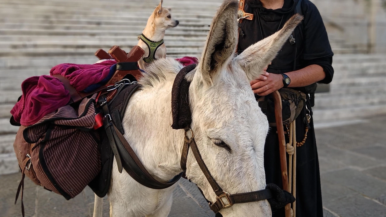 Tappa in provincia lungo la Francigena, da Pontremoli a Massa, per il frate francese Brice e suoi due animali. Arriverà a Palermo Tappa in provincia lungo la Francigena, da Pontremoli a Massa, per il frate francese Brice e suoi due animali. Arriverà a Palermo
