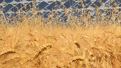 Un impianto di produzione agrivoltaica