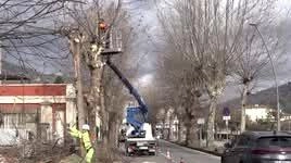 È iniziato il nuovo intervento curato dai tecnici della Provincia di Pistoia su una ventina di platani sui marciapiedi di... È iniziato il nuovo intervento curato dai tecnici della Provincia di Pistoia su una ventina di platani sui marciapiedi di...