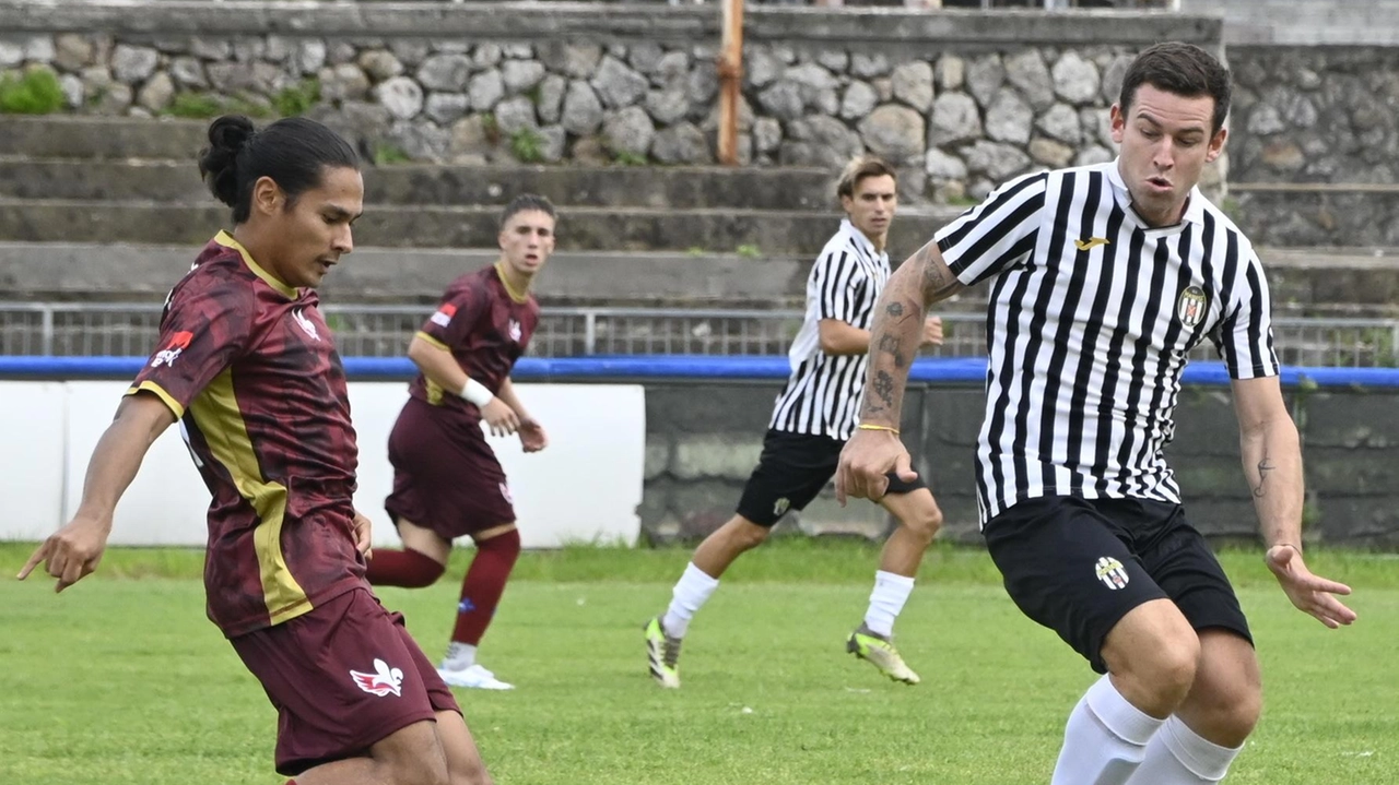 Lo Zenith ha approfittato dei primi minuti di gioco per portarsi a casa la vittoria. Zebre belle nella ripresa