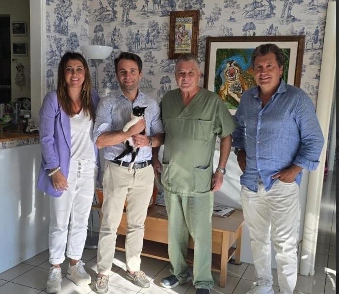 Parte da Siena per adottare una gattina a Castiglion Fiorentino Parte da Siena per adottare una gattina a Castiglion Fiorentino