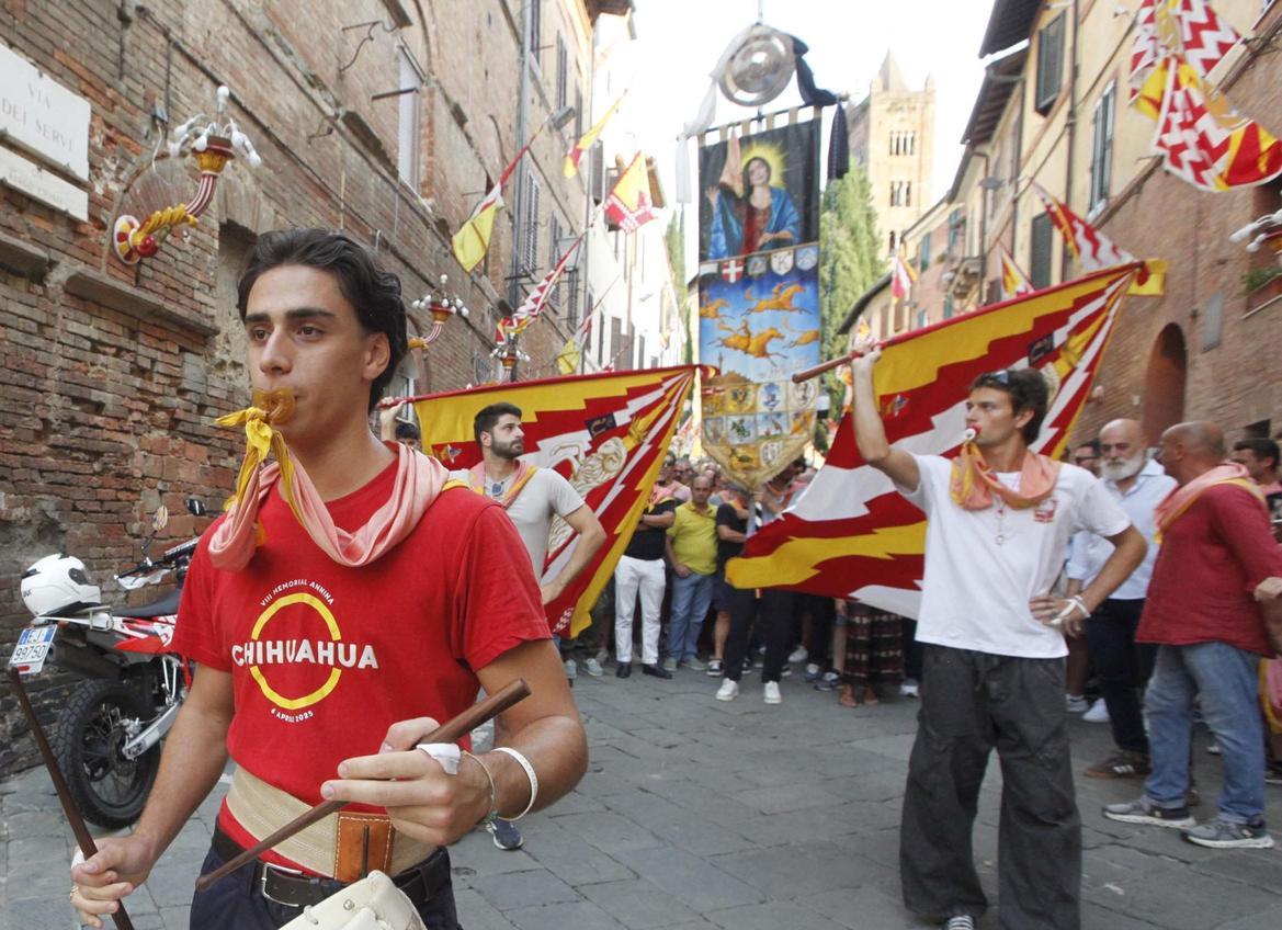https://www.lanazione.it/image-service/view/acePublic/alias/contentid/NTViNGI3MmItYjdiYi00/0/il-filo-del-palio-trasmettere-il-patrimonio-di-conoscenze.jpeg?f=1.91:1&w=1200