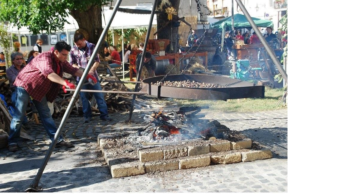 La Vab di Montemurlo celebra la 30esima festa della castagna con il patrocinio del Comune. Evento popolare con caldarroste, necci e concorso per la castagna più grande. Ricavato per attrezzature di soccorso e difesa del bosco. Limitazioni al traffico domani. La Vab di Montemurlo celebra la 30esima festa della castagna con il patrocinio del Comune. Evento popolare con caldarroste, necci e concorso per la castagna più grande. Ricavato per attrezzature di soccorso e difesa del bosco. Limitazioni al traffico domani.
