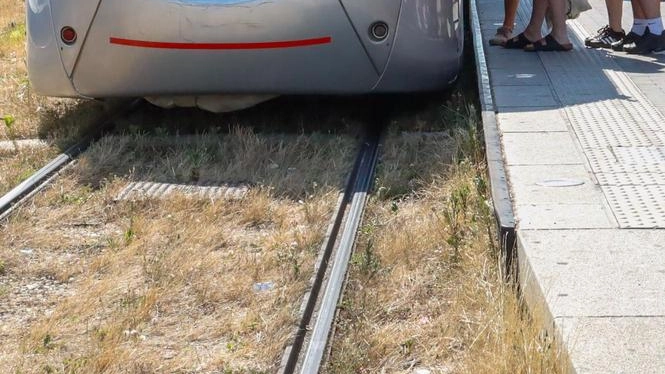 Mattinata complicata a Firenze per pendolari e automobilisti a causa del maltempo e di un guasto alla tramvia. Disagi alle linee T1 e T2 con servizi limitati e sostitutivi. Traffico veicolare rallentato nel viale Redi e lungarno Ferrucci. Mattinata complicata a Firenze per pendolari e automobilisti a causa del maltempo e di un guasto alla tramvia. Disagi alle linee T1 e T2 con servizi limitati e sostitutivi. Traffico veicolare rallentato nel viale Redi e lungarno Ferrucci.