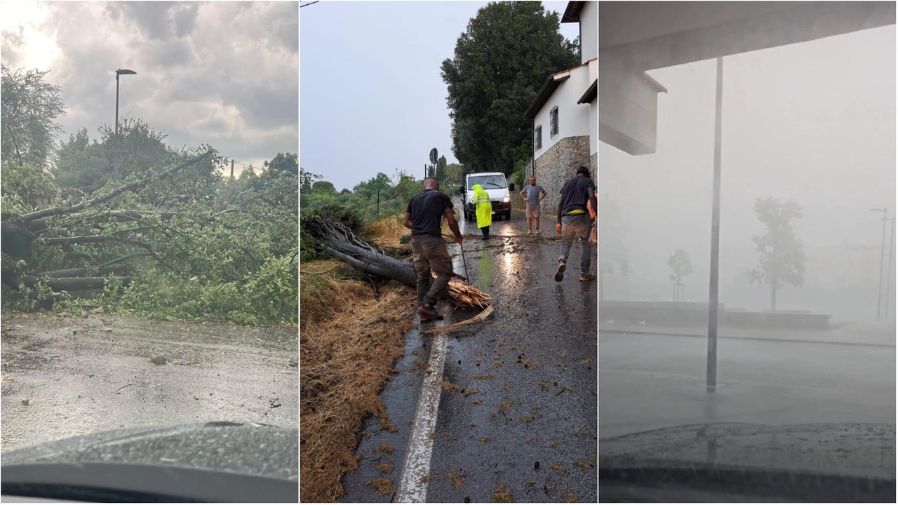 Maltempo in Toscana, forti temporali, vento e grandine. Alberi caduti a Firenze / 