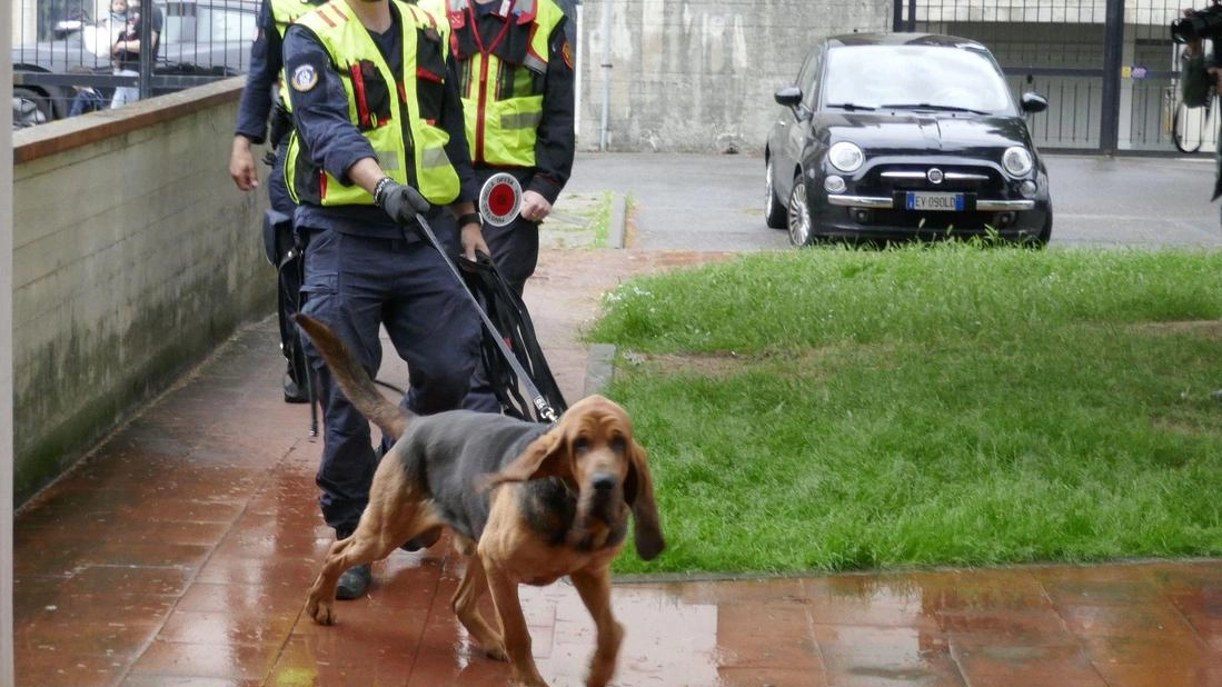 L’unità cinofila dei carabinieri setaccia la zona intorno al residence dove si trovava la ragazza scomparsa L’unità cinofila dei carabinieri setaccia la zona intorno al residence dove si trovava la ragazza scomparsa