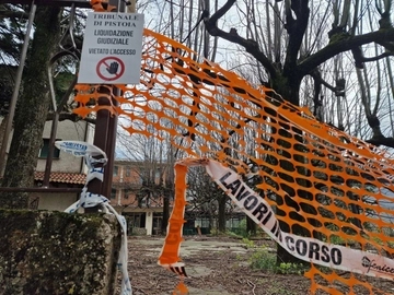 immagine articolo