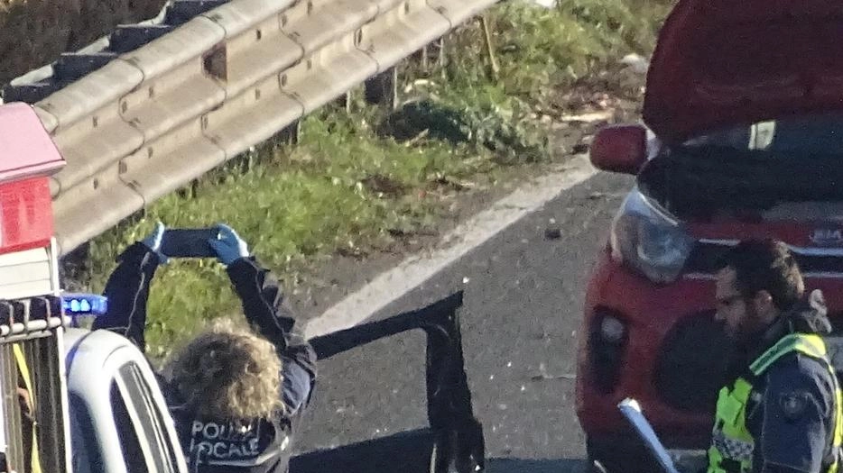 Famiglia senegalese distrutta nell’incidente di ieri mattina sulla Variante Aurelia . Marito, moglie, due figlie e la cuginetta erano diretti a Bergamo per l’ultimo dell’anno. Famiglia senegalese distrutta nell’incidente di ieri mattina sulla Variante Aurelia . Marito, moglie, due figlie e la cuginetta erano diretti a Bergamo per l’ultimo dell’anno.