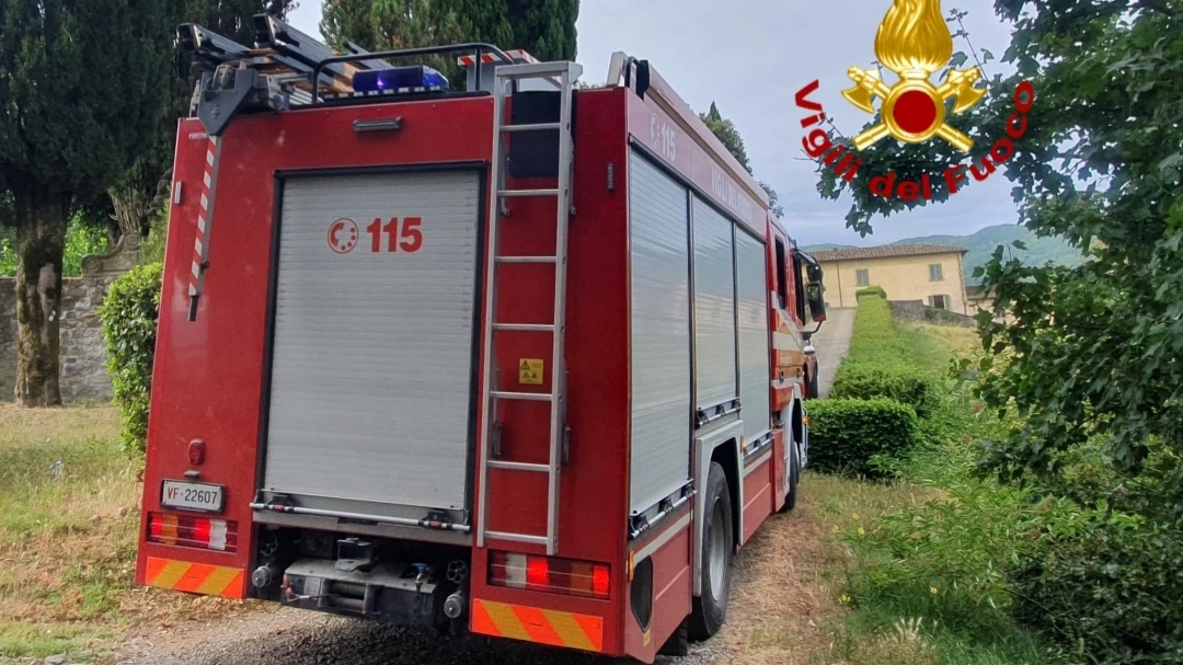 Vigili del fuoco Vigili del fuoco