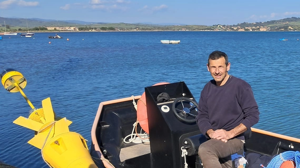 Boa con intelligenza artificiale all'Argentario Boa con intelligenza artificiale all'Argentario