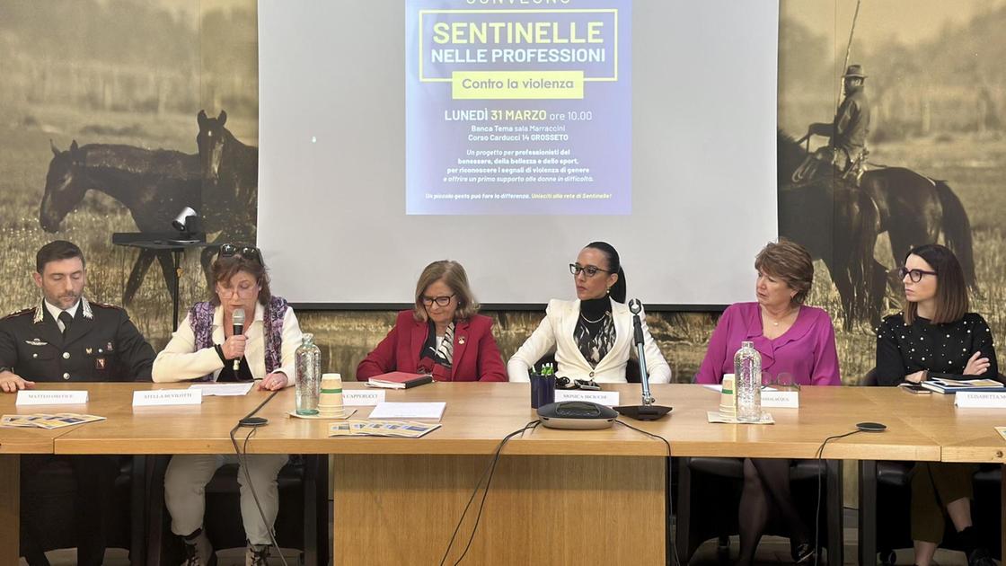 violenza di genere  primo incontro delle  sentinelle 