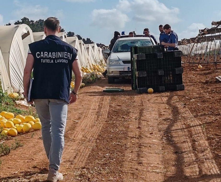 https://www.lanazione.it/image-service/view/acePublic/alias/contentid/NTc1MzViMDEtYzdkOC00/0/lavoro-sospese-due-attivita-controlli-in-agricoltura-sette-lavoratori-in-nero.jpeg