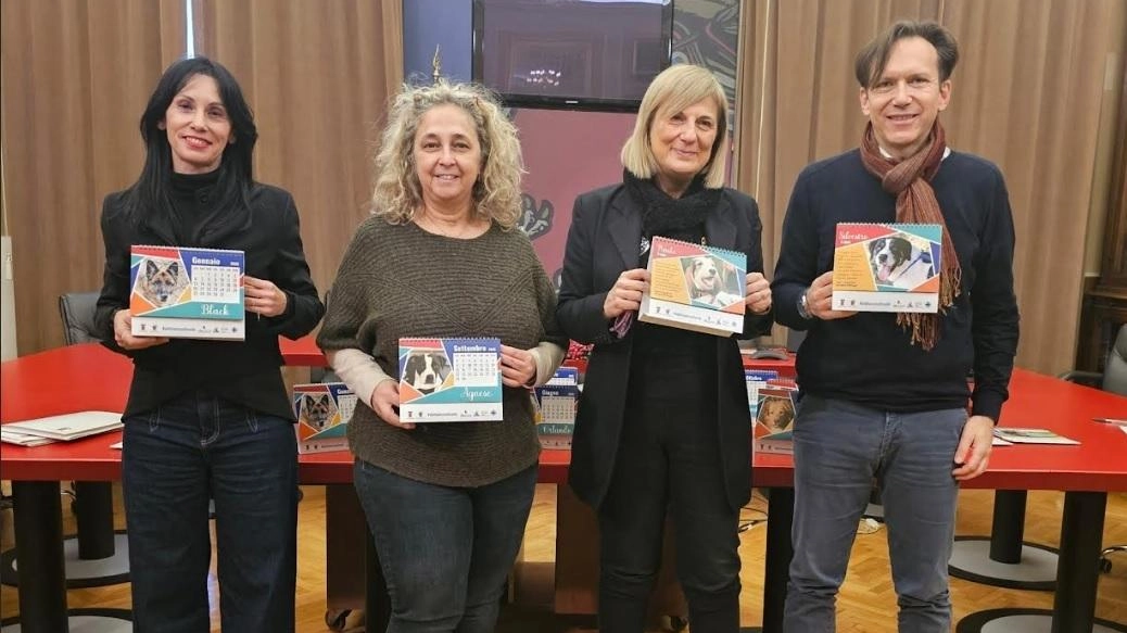 Dodici mesi in compagnia dei nostri amici pelosi con l’intento di promuovere le adozioni dei cani ospitati nelle strutture di... Dodici mesi in compagnia dei nostri amici pelosi con l’intento di promuovere le adozioni dei cani ospitati nelle strutture di...