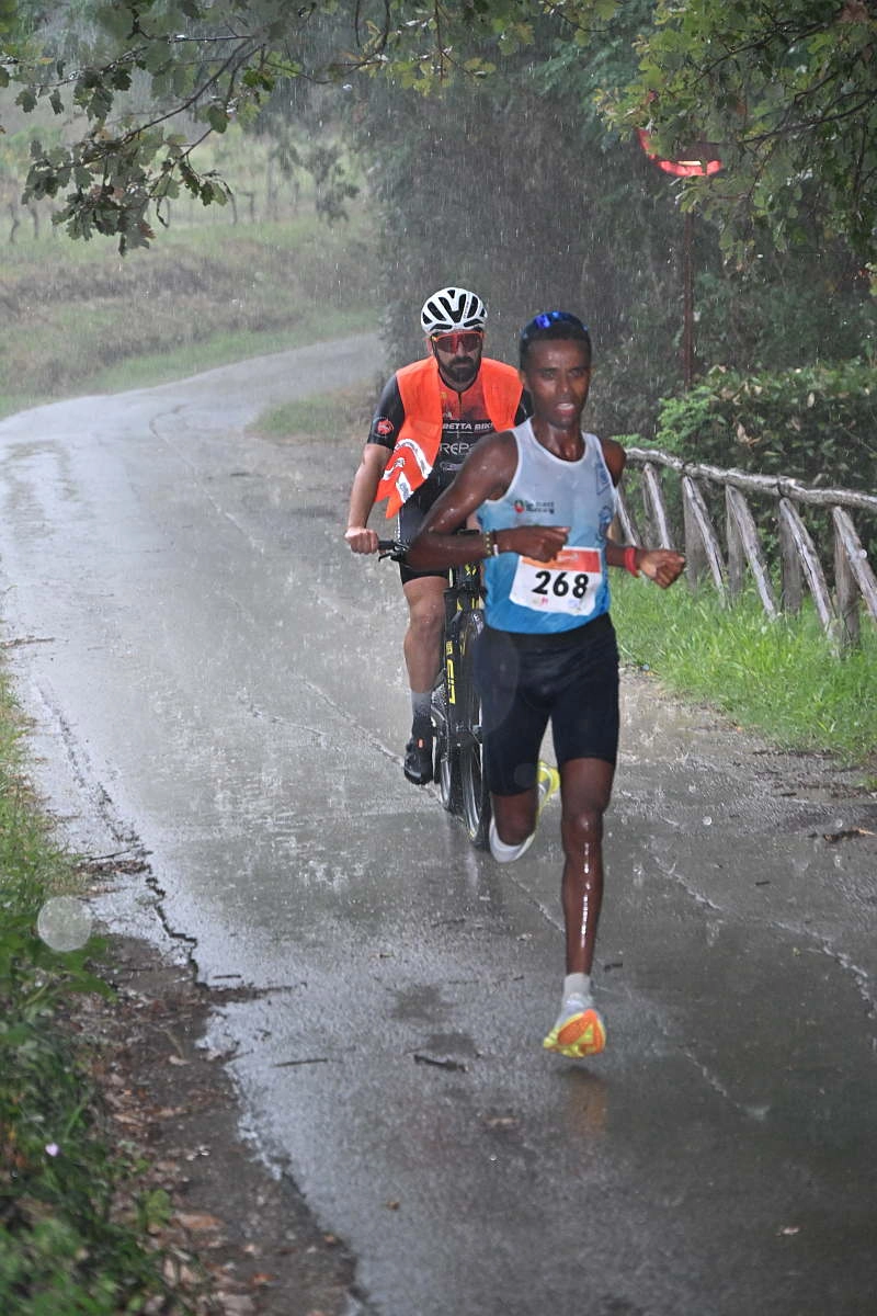 immagine di sfondo 14