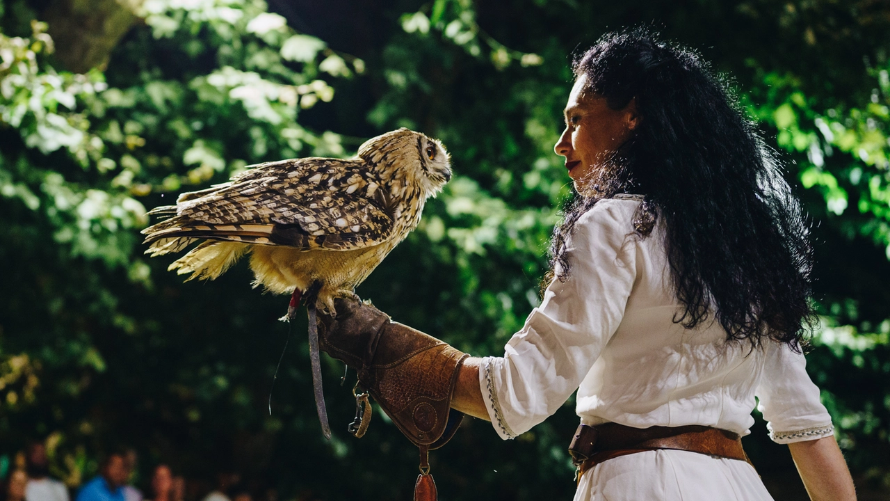 Giochi col fuoco, musici, giullari e non mancherà la spettacolare esibizione dei falconieri