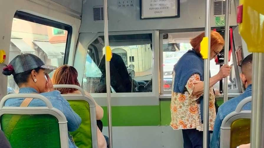 Il van di Trotta con i campanelli rotti Il van di Trotta con i campanelli rotti