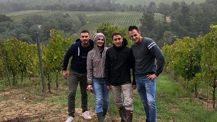Il gruppo di ricerca dell'Università di Pisa Il gruppo di ricerca dell'Università di Pisa
