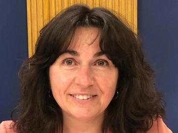 immagine articolo