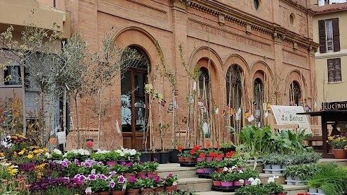 Torna sabato 12 e domenica 13 aprile la 25esima edizione della Fiera Verde, la manifestazione dedicata al florovivaismo, alle produzioni...