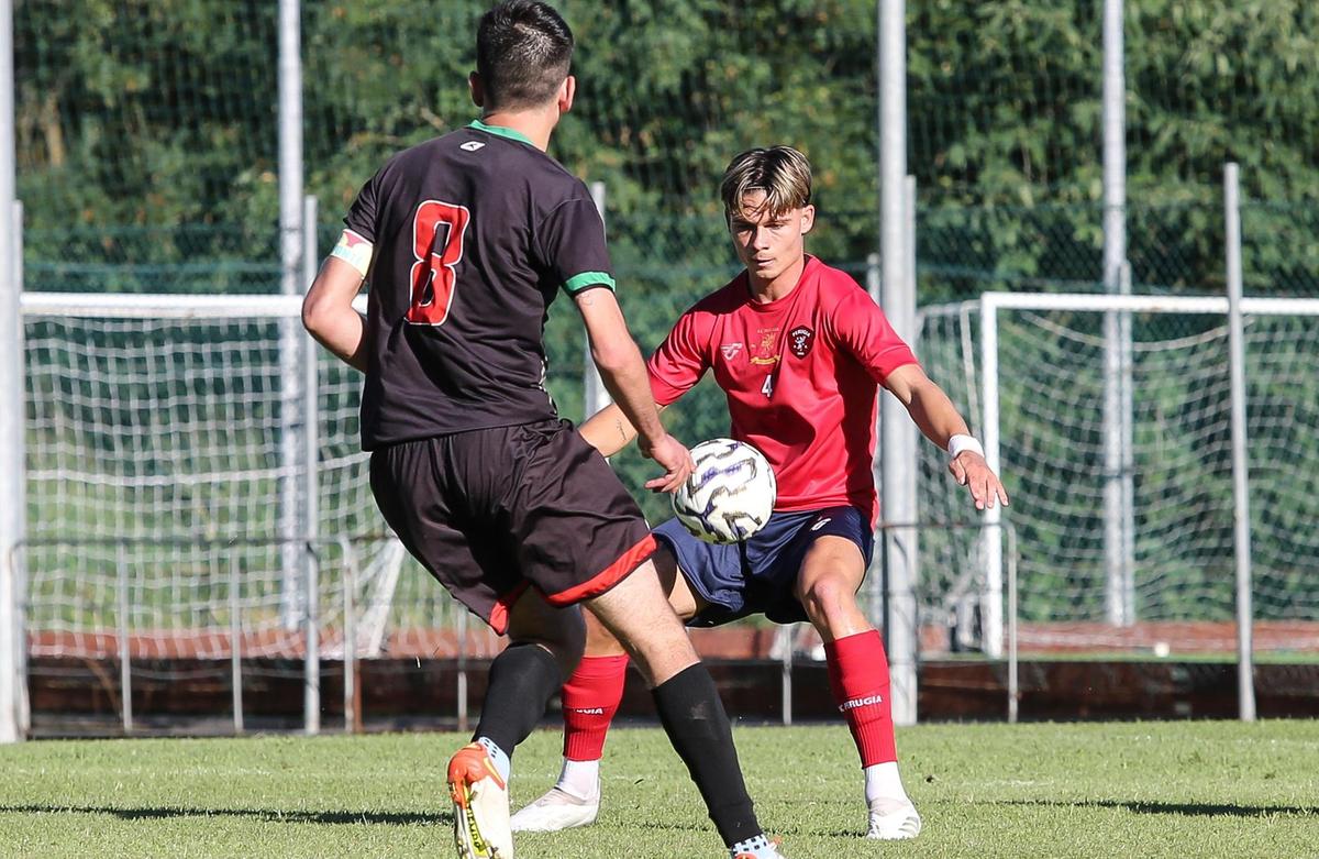perugia cangelosi tra coppa e mercato contento del gruppo gli acquisti arriveranno