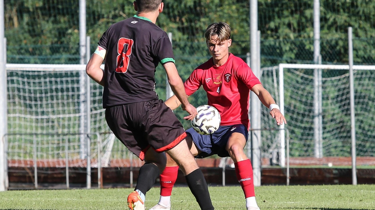 Perugia, Cangelosi tra Coppa e mercato: "Contento del gruppo, gli acquisti arriveranno"