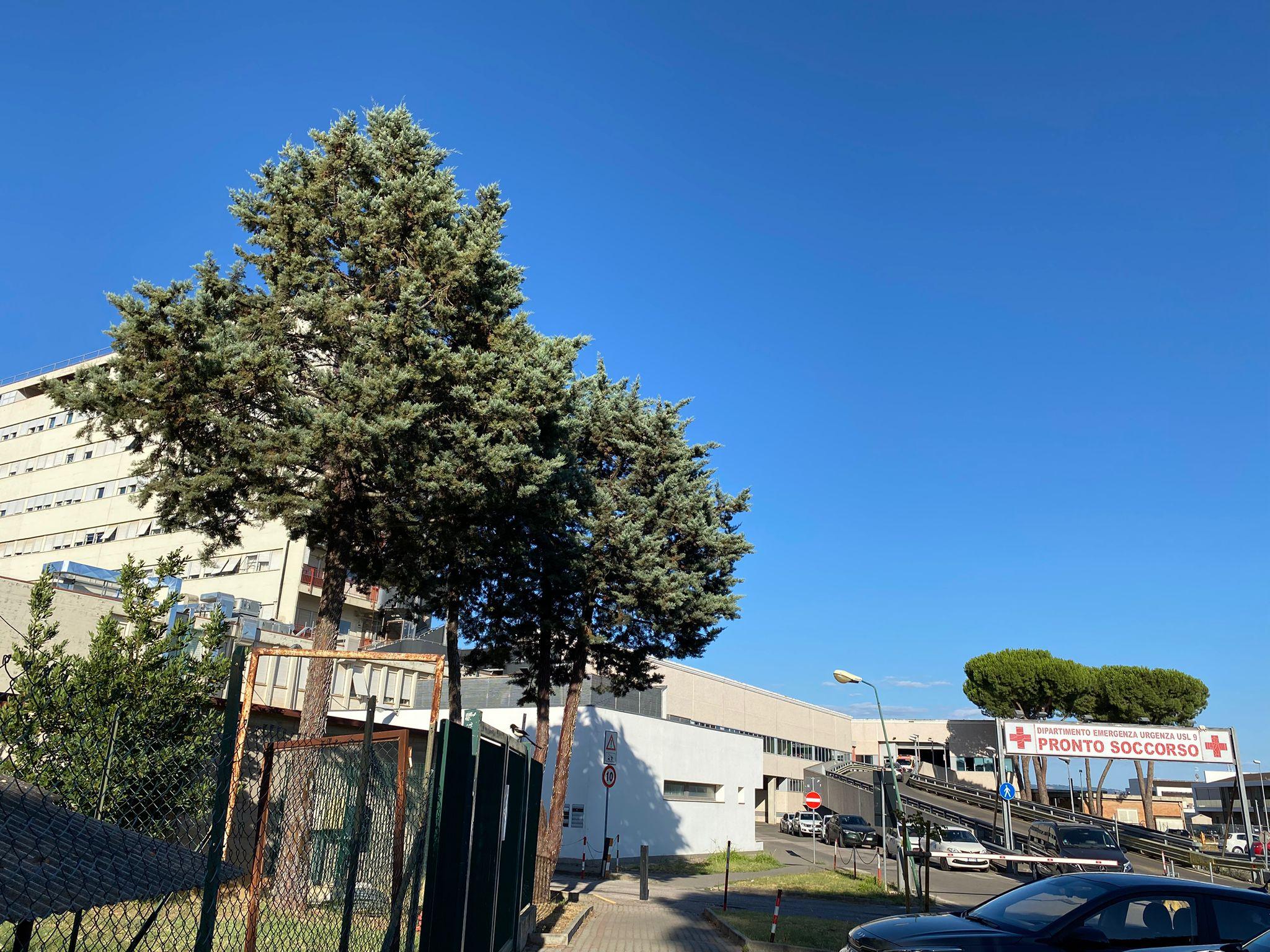 Incidente nella notte a Scarlino: quattro feriti, tra cui due minorenni