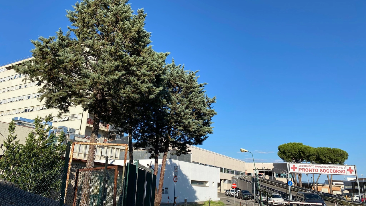 L'ospedale di Grosseto L'ospedale di Grosseto